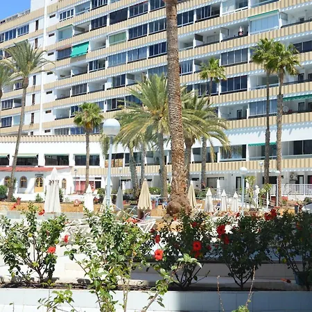 Koka View Apartament