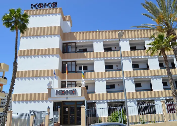 Koka View